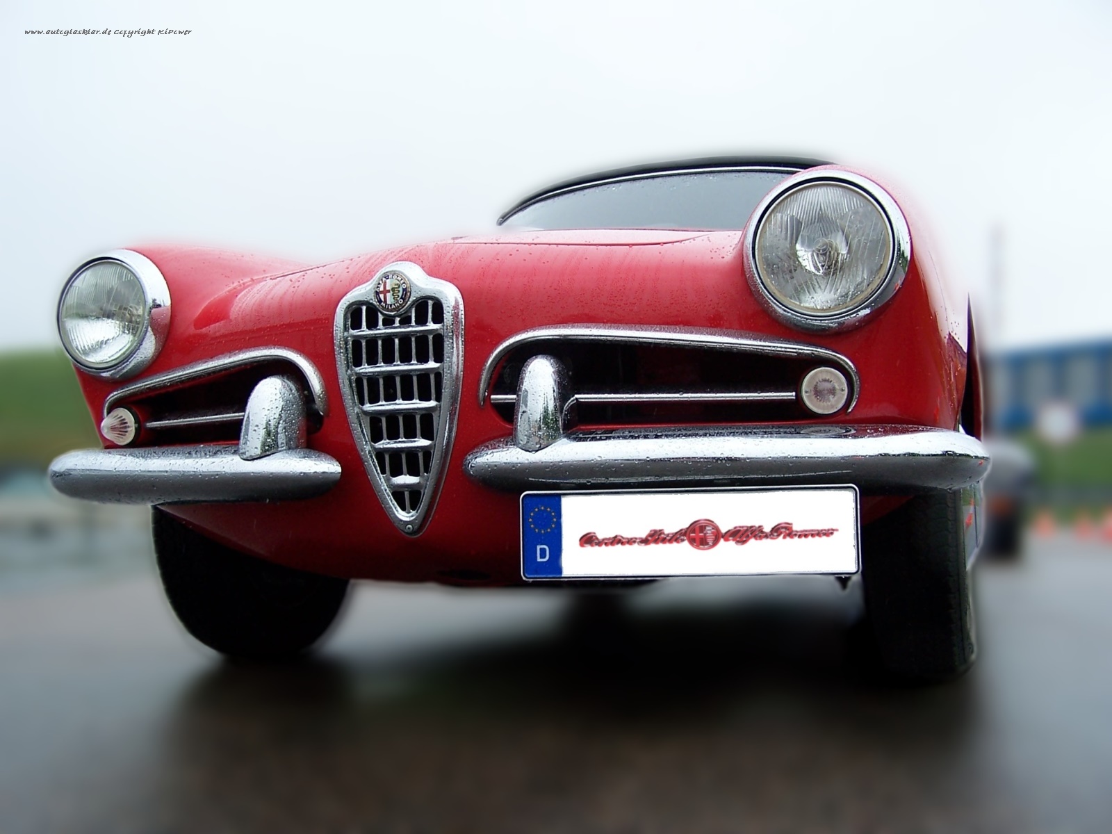 Traumwagen Alfa Romeo Giulia 1600 Spider. Autoglasklar.de Shop