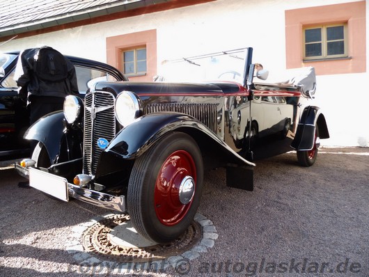 Ein Adler Trumpf auf Augustusburg