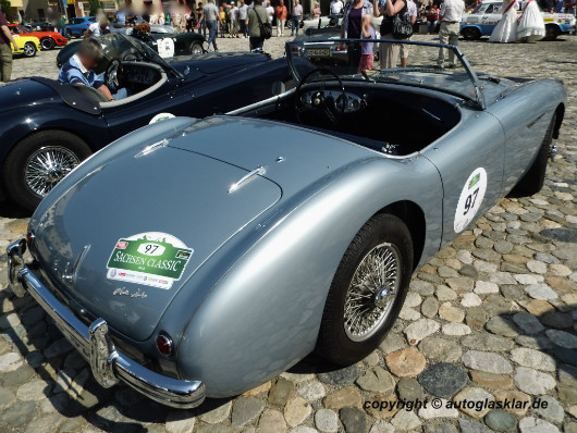 Bild Austin Healey 100