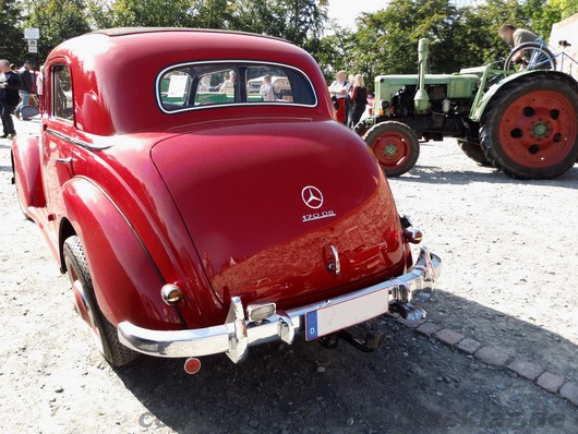 Heckansicht Mercedes-Benz 170 DS 1953