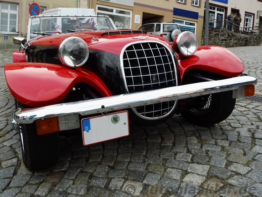 Vorderansicht Detail Panther Kallista