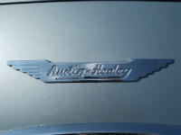 Das Logo von Austin- Healey