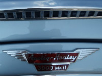 Logo von Austin- Healey 3000 Mk II
