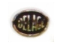 Das Logo von Delage Automobiles
