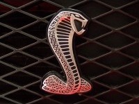 Das Cobra Logo von Shelby American Inc.