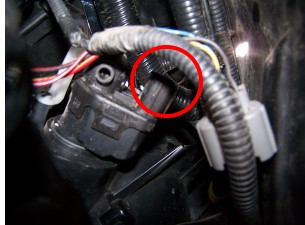 Der Stecker Stellmotor Leuchtweitenregulierung des Honda Jazz